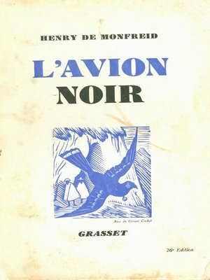 cover image of L'avion noir